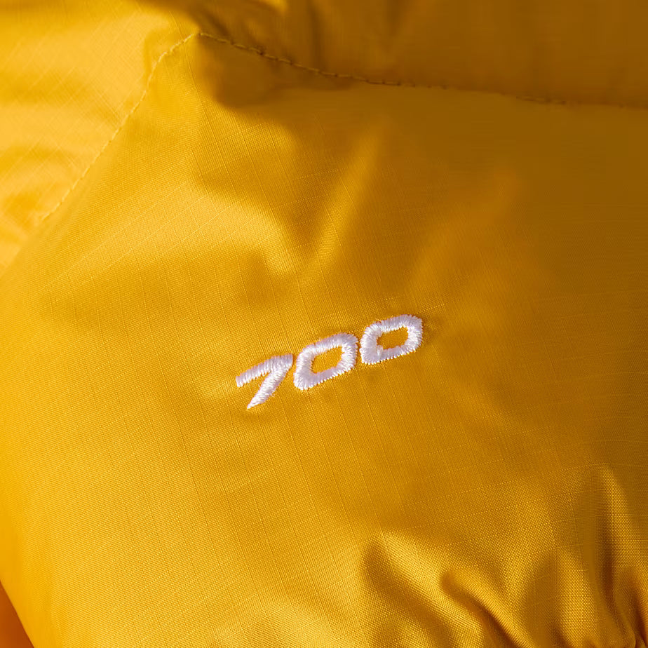 1996 Retro Nuptse Jacket